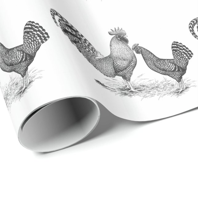 Papier Cadeau California Gray Rooster and Hen (Coin rond)
