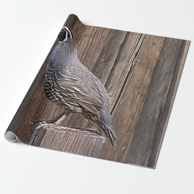 PAPIER CADEAU CALIFORNIA QUAIL À BARNBOARD (Déroulé)
