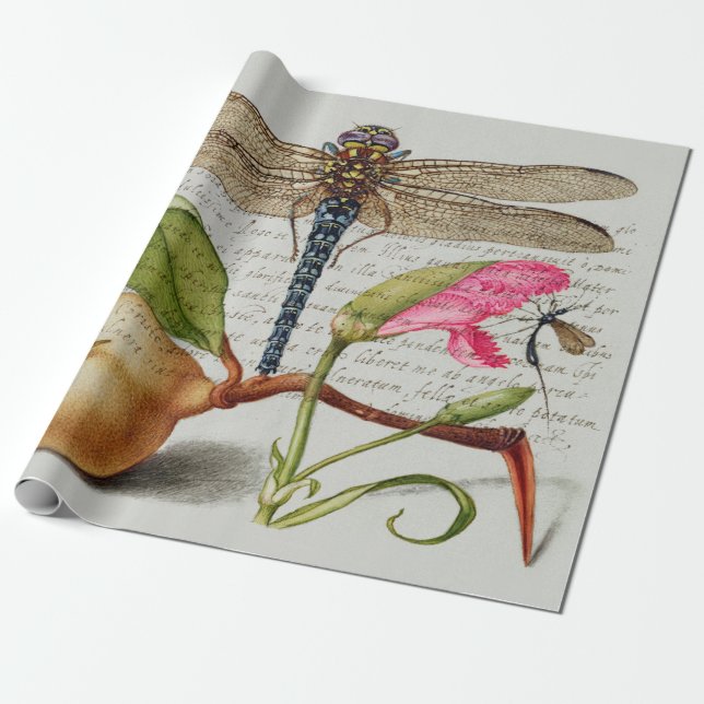 Papier Cadeau Calligraphie (libellule, oeillet et poire)  (Déroulé)