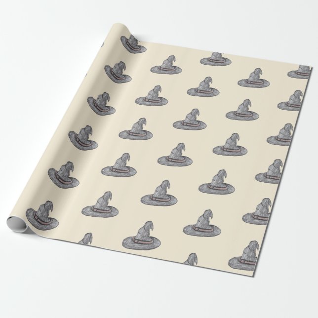 Papier Cadeau Calque de chapeau de sorcière motif Halloween (Déroulé)