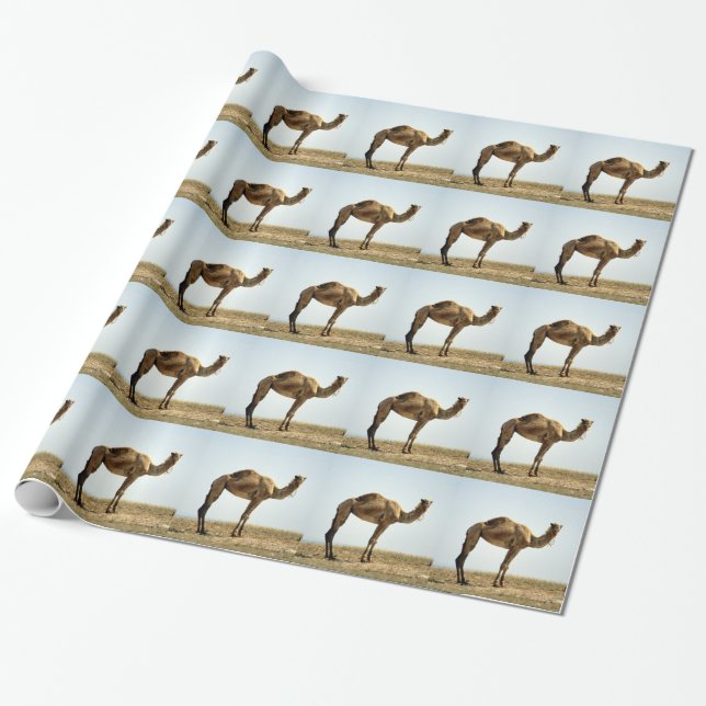 Papier Cadeau Camel (Déroulé)
