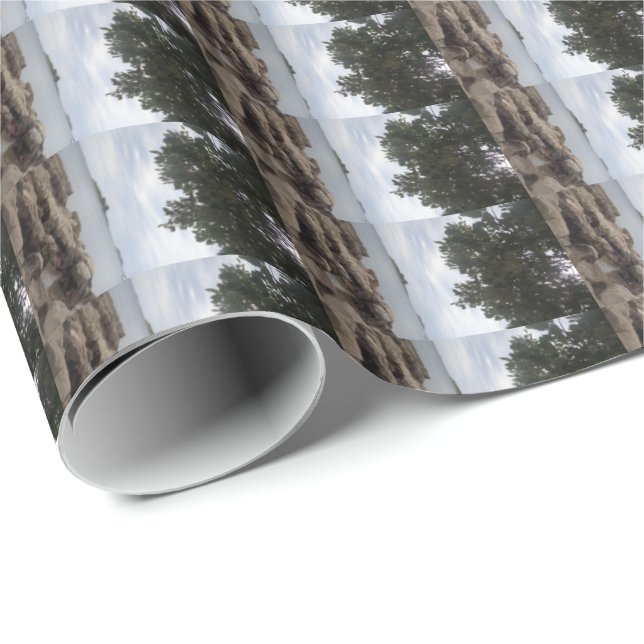 Papier Cadeau Caméra Rectangle photo modèle (Coin rond)