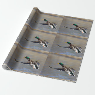 Papier Cadeau canard en vol