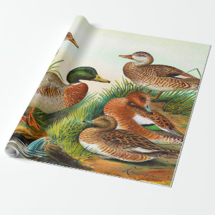 Papier Cadeau Canards vintages À L'Étang 3 Découpage