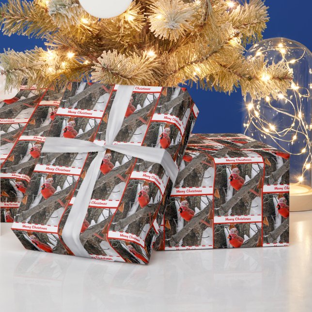 Papier Cadeau Cardinal de Noël avec Casquette de stockage (Vacances)