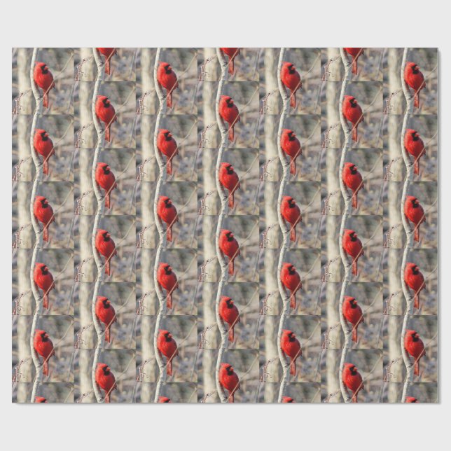Papier Cadeau Cardinal joyeux (Plat)