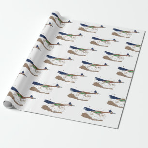Papier Cadeau Caricature d'oiseau du désert drôlement amusante