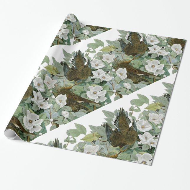 Papier Cadeau Carolina Pigeon Audubon Morning Dove (Déroulé)