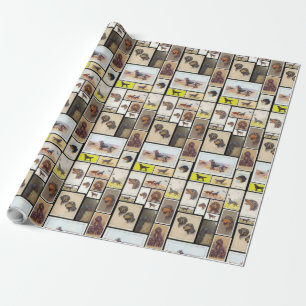 Papier Cadeau Cartes de cigarette de poseur de Gordon