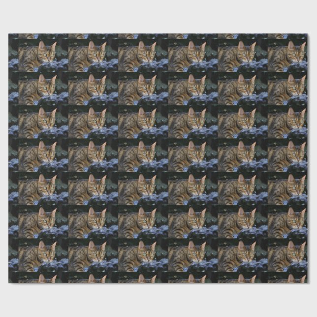 Papier Cadeau Cat du Bengale (Plat)