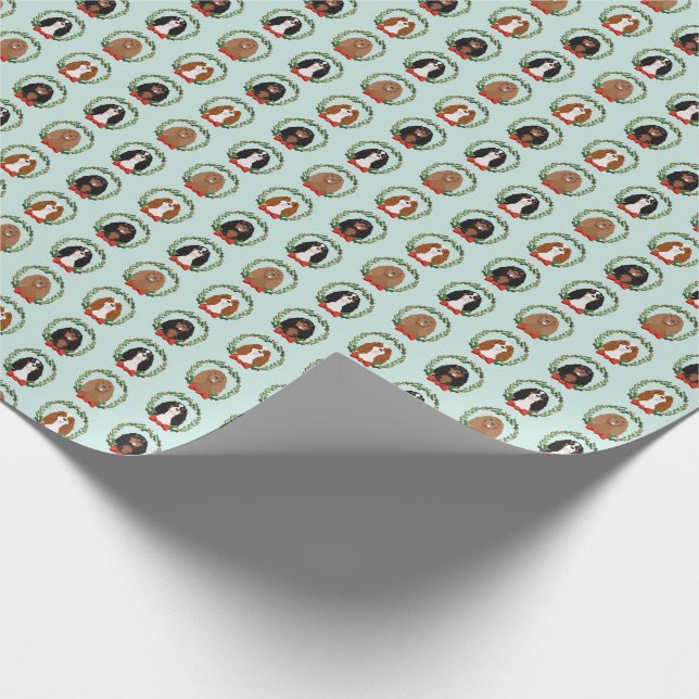 Papier Cadeau Cavalier roi Charles (Coin)