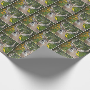 Papier Cadeau cerf à gros seins dans les bois