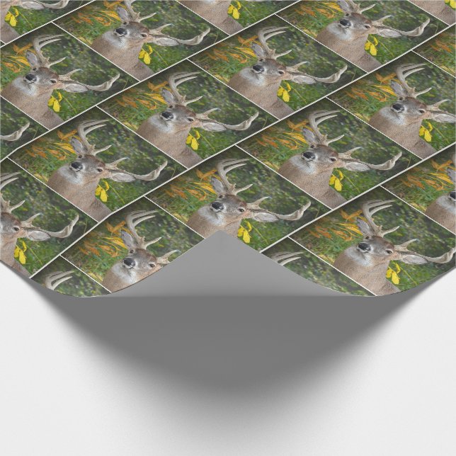 Papier Cadeau cerf à gros seins dans les bois (Coin)
