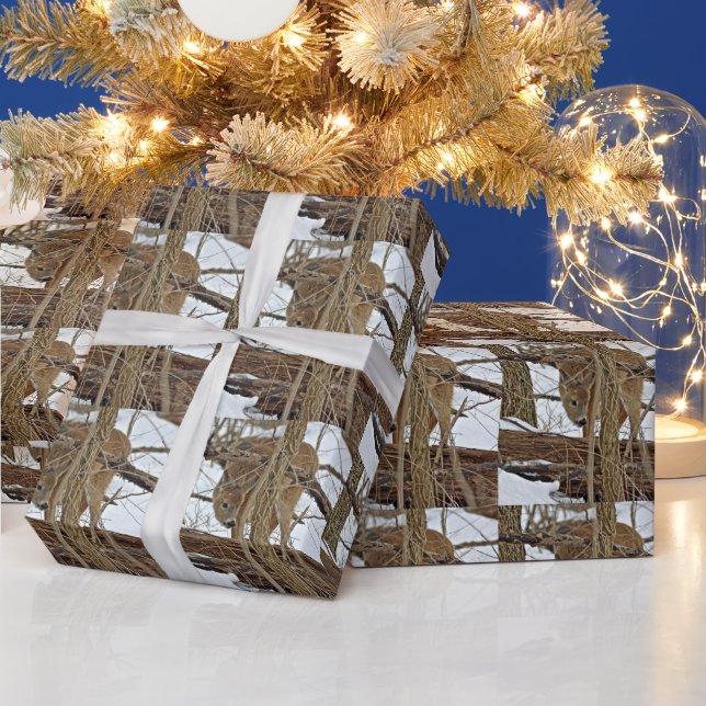 Papier Cadeau Cerf Blanc En Neige (Vacances)