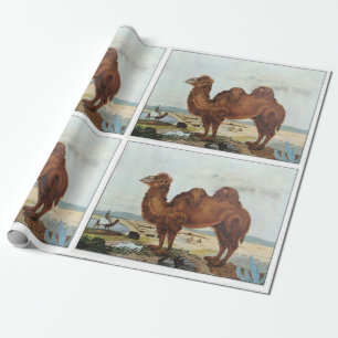 Papier Cadeau Chameau vintage d'art