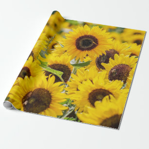 Papier Cadeau Champ de tournesol Papier d'enveloppement design