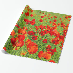 Papier Cadeau Champ des pavots rouges sauvages