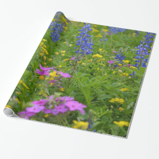Papier Cadeau Champ du Texas des fleurs sauvages et des