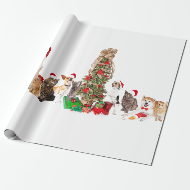 Papier Cadeau Chapeaux de Père Noël ANIMAL AVEC PARE-DON D'ARBRE (Déroulé)