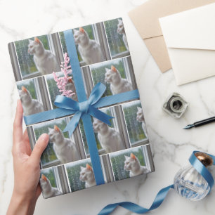Papier Cadeau Chat blanc regardant par une fenêtre pluvieuse