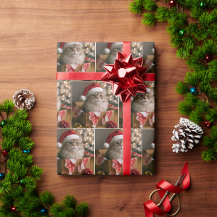 Papier Cadeau Chat dans une boîte de cadeau de Noël