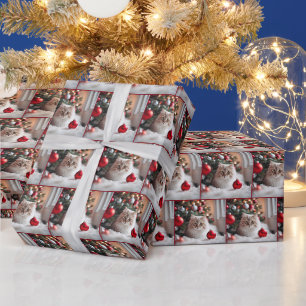 Papier Cadeau Chat de Noël Avec Ornement Rouge
