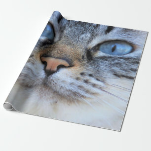 Papier Cadeau Chat gris