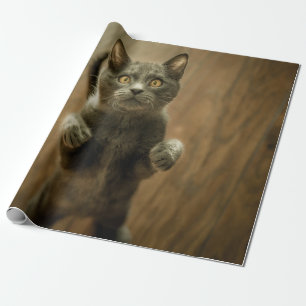 PAPIER CADEAU CHAT GRIS EN DEUX PIEDS