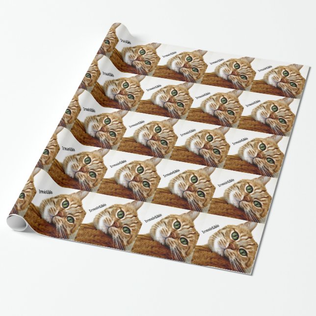 Papier Cadeau Chat irrésistible (Déroulé)