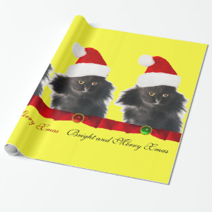 PAPIER CADEAU CHAT NOËL NOIR, CASQUETTE SANTA CLAUS ET RIBBON RO