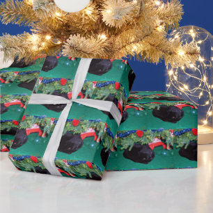 PAPIER CADEAU CHAT NOIR, JEUNE NOËL   