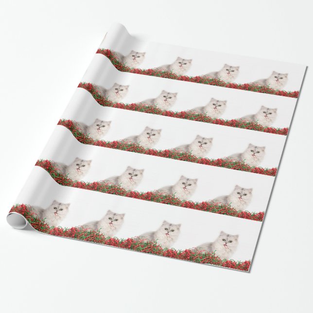 Papier Cadeau Chat perse de Noël (Déroulé)