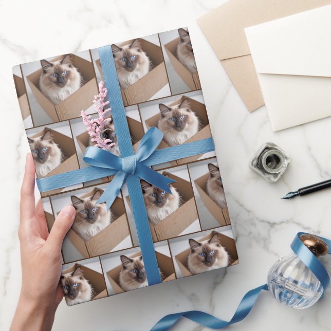 Papier Cadeau Chat Ragdoll Dans Boîte En Carton (Cadeaux)