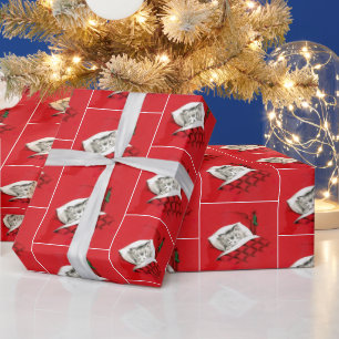 Papier Cadeau Chat vintage au lit à Noël