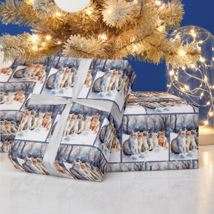 Papier Cadeau Chats Aquarelles Dans Les Flèches De Neige