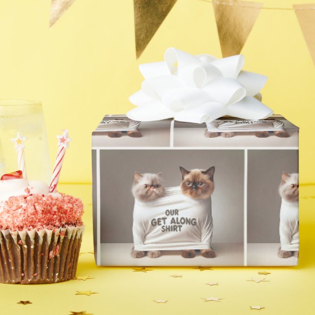 Papier Cadeau Chats frères portant une chemise (Fête d'anniversaire)