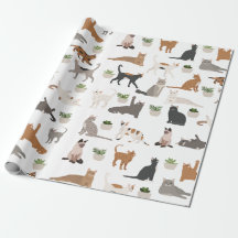 Chats mignons et Plantes de maison
