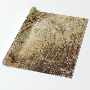 PAPIER CADEAU CHEMIN ENTOURÉ D'ARBRES GRANDS ET VERTS