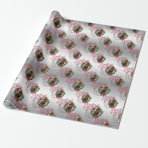 Papier Cadeau CHÈQUE   voeux de Noël Bébé Chèvre Baisers Boer