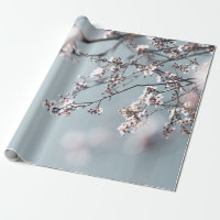 CHERRY ROSE BLOSSOM EN FERMETURE PHOTOGRAPHIE