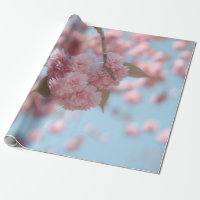 CHERRY ROSE BLOSSOM EN FERMETURE PHOTOGRAPHIE