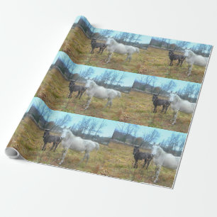 Papier Cadeau Cheval blanc Colt noir