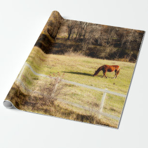 Papier Cadeau Cheval Pays Rustique Automne Découpage