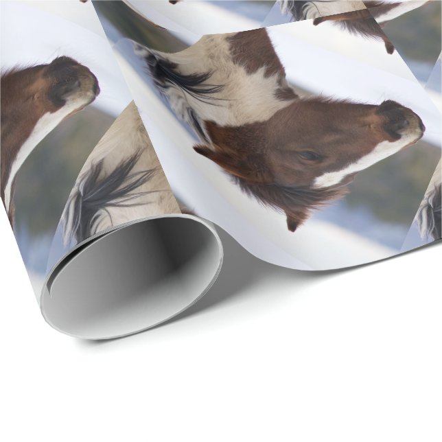 Papier Cadeau Cheval Tri Coloré (Coin rond)