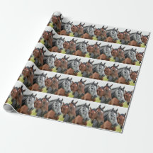 Chevaux dans le pâturage