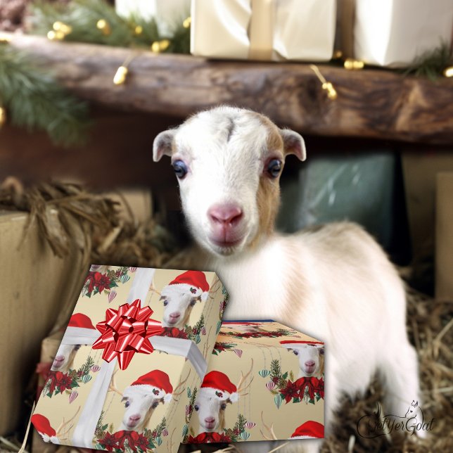 Papier Cadeau Chèvre Noël adorable LaMancha Enfant à Antlers (Créateur téléchargé)