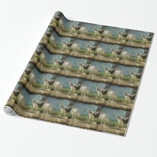 Papier Cadeau Chèvres laitières