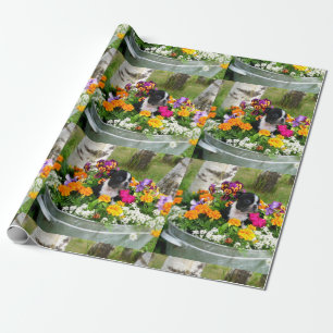 Papier Cadeau Chien de Boston Terrier