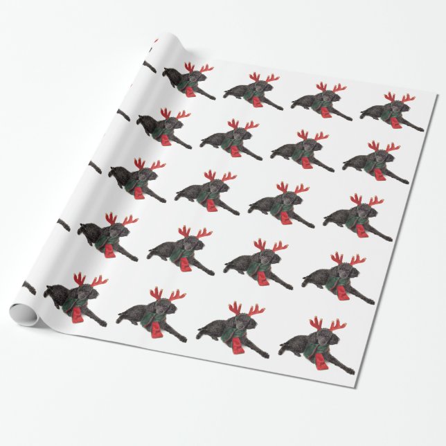 Papier Cadeau Chien de caniche noir de jouet de Noël habillé (Déroulé)
