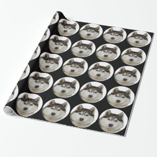 Papier Cadeau "Chien de chien de traîneau sibérien "